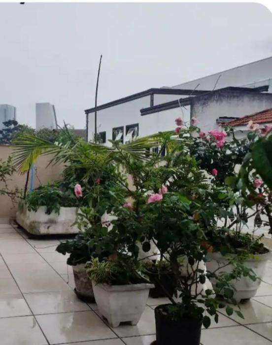 Aconchegante Duplo Homestay *