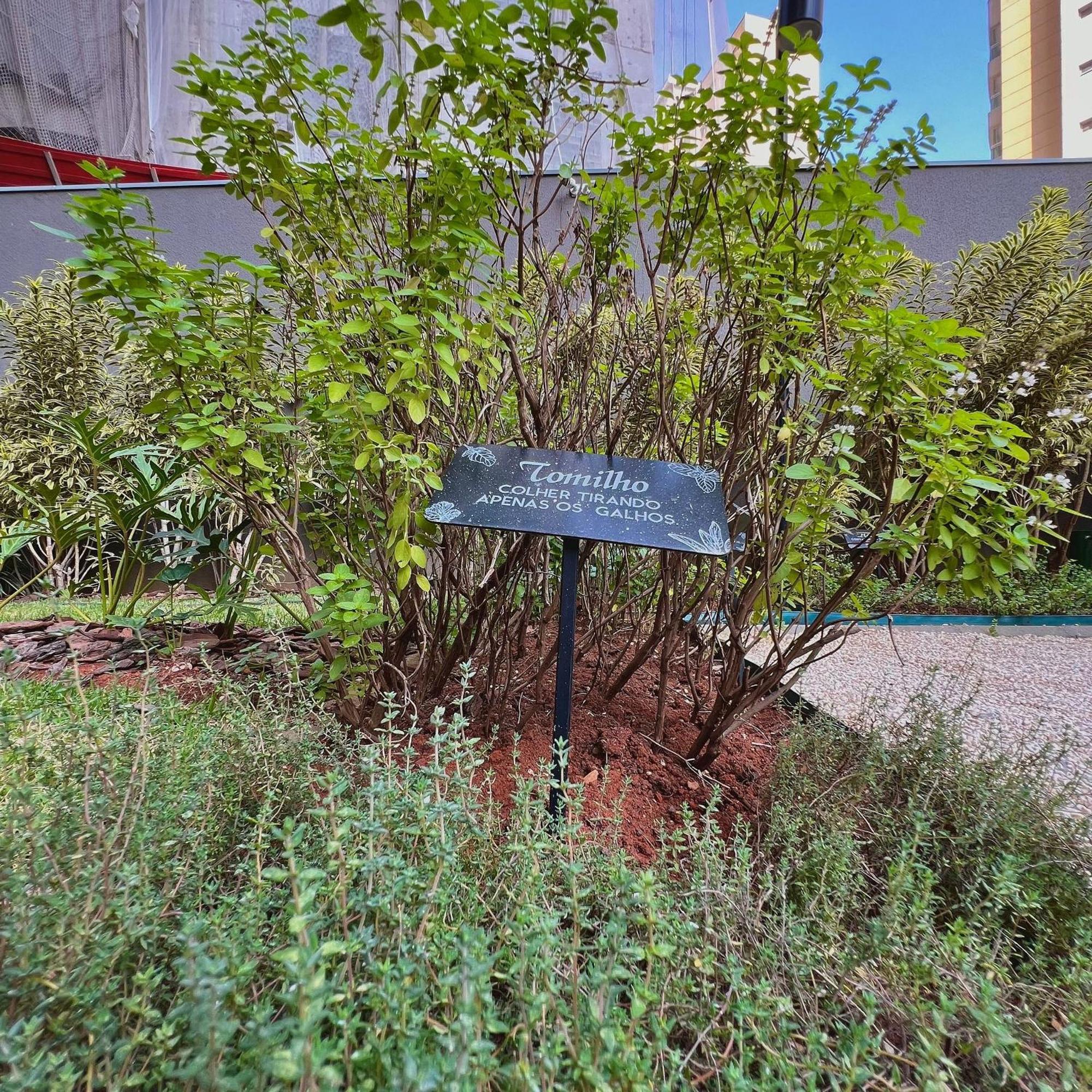 Prime 2010 - Itaim Bibi Apartment