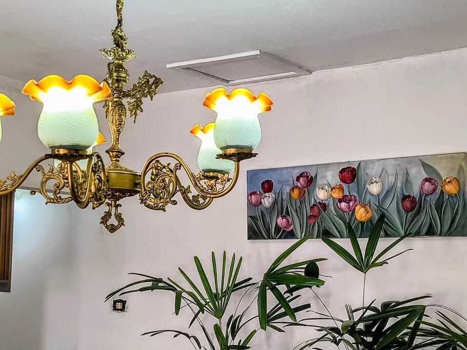 Casa Imperial No Analia Franco Villa