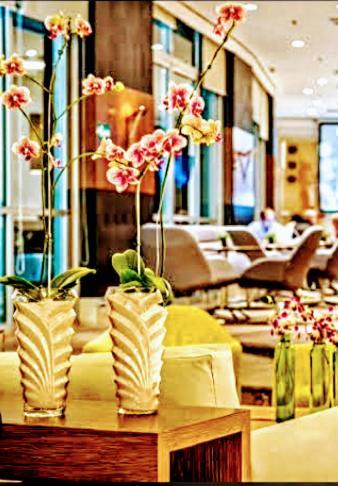 Luxxor 4* São Paulo