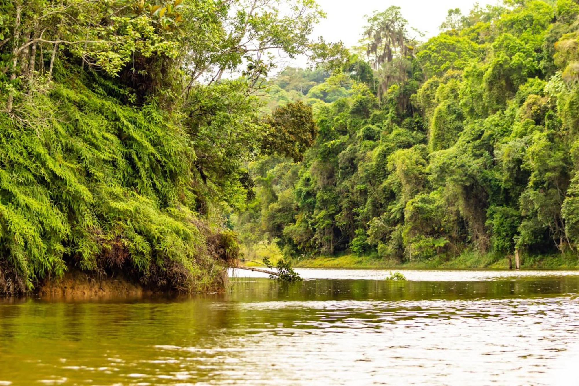 Nhà nghỉ Chacara Pe N'agua, 80 Km De Sp, Piscina E Aquecido *