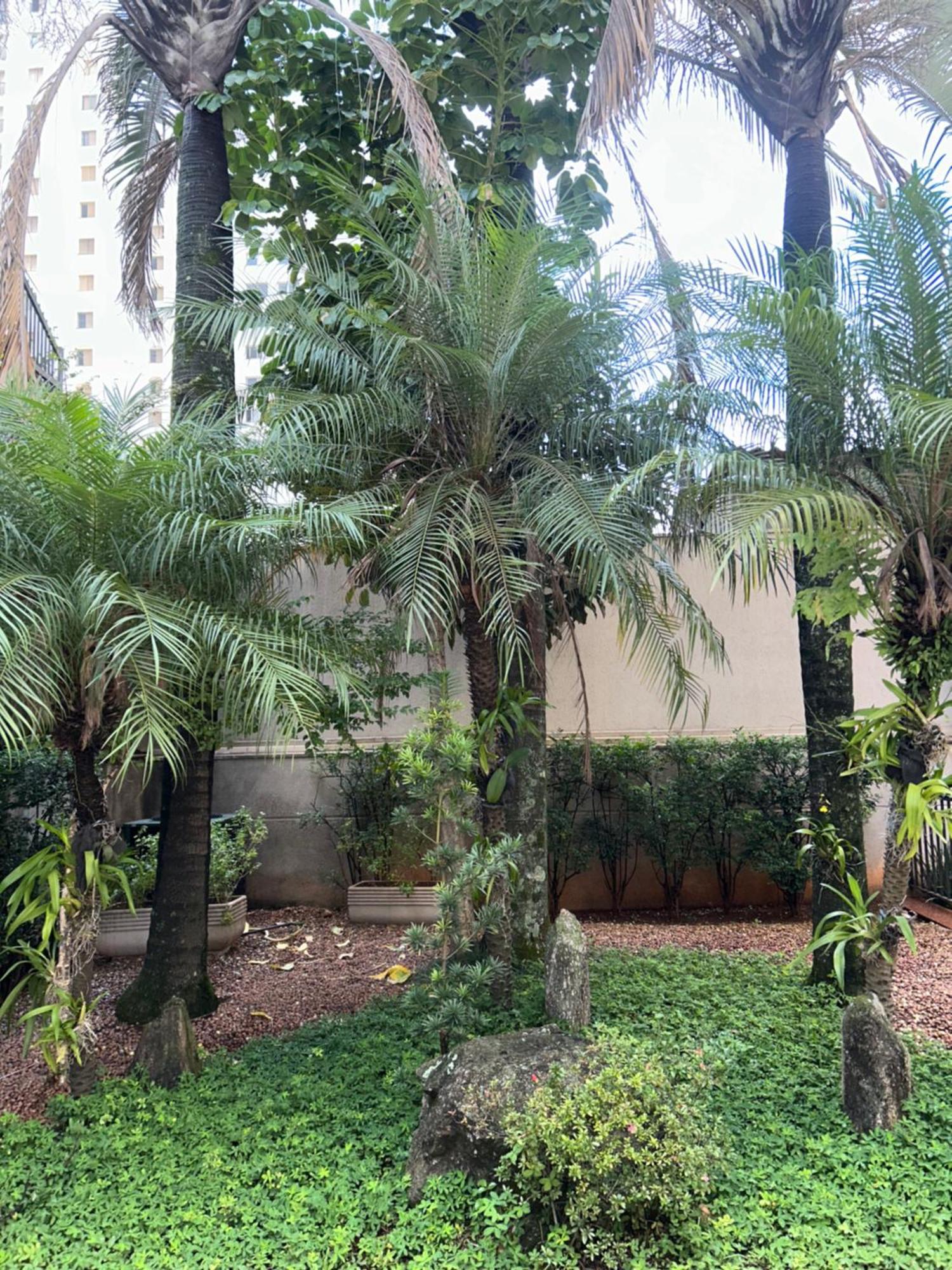 Flat No Mercure Privilege Ibirapuera Moema - 5 Min Do Aeroporto De Congonhas * Sao Paulo