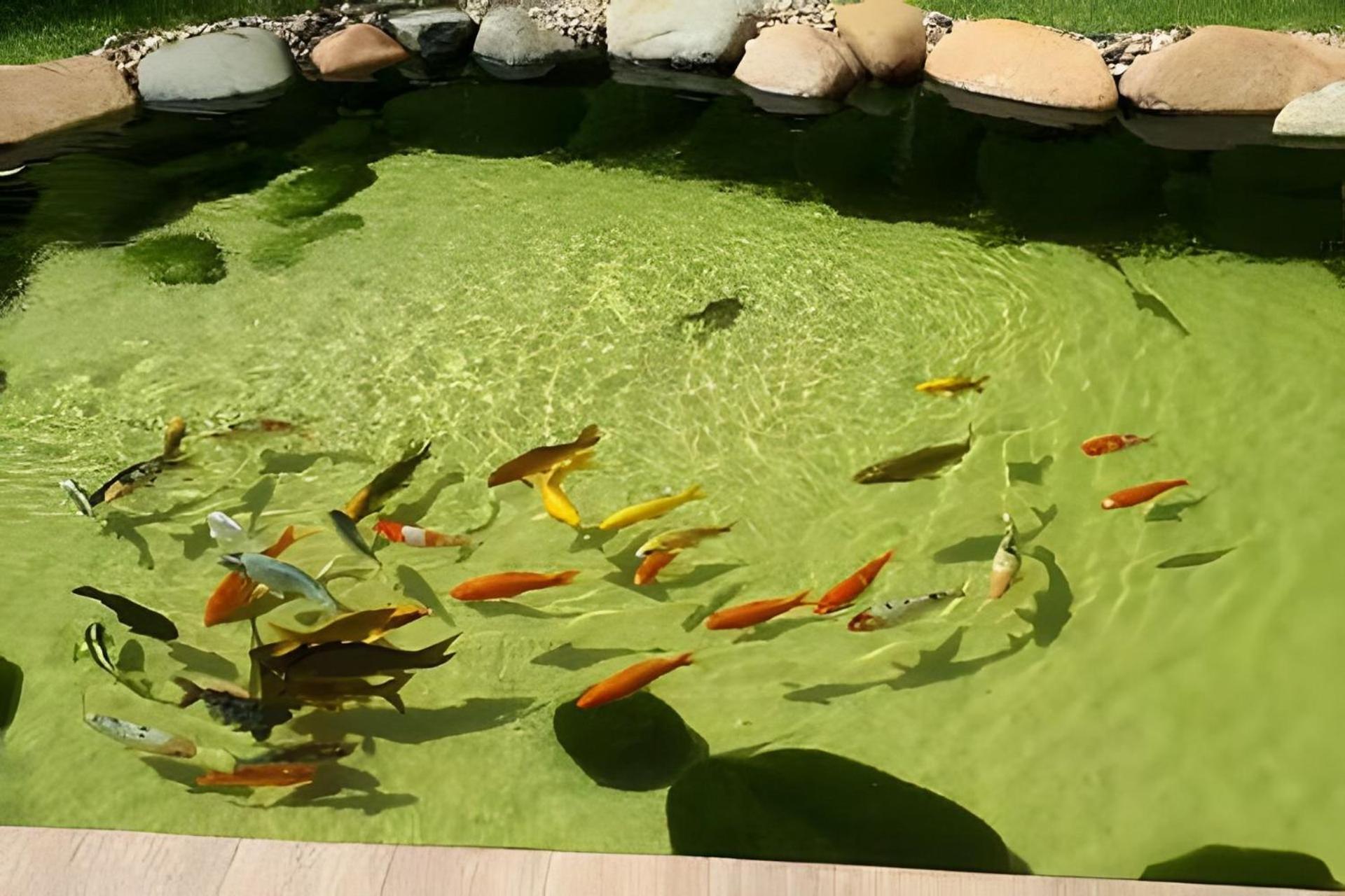Apartment Ap Ao Lado Da Estacao Bras São Paulo