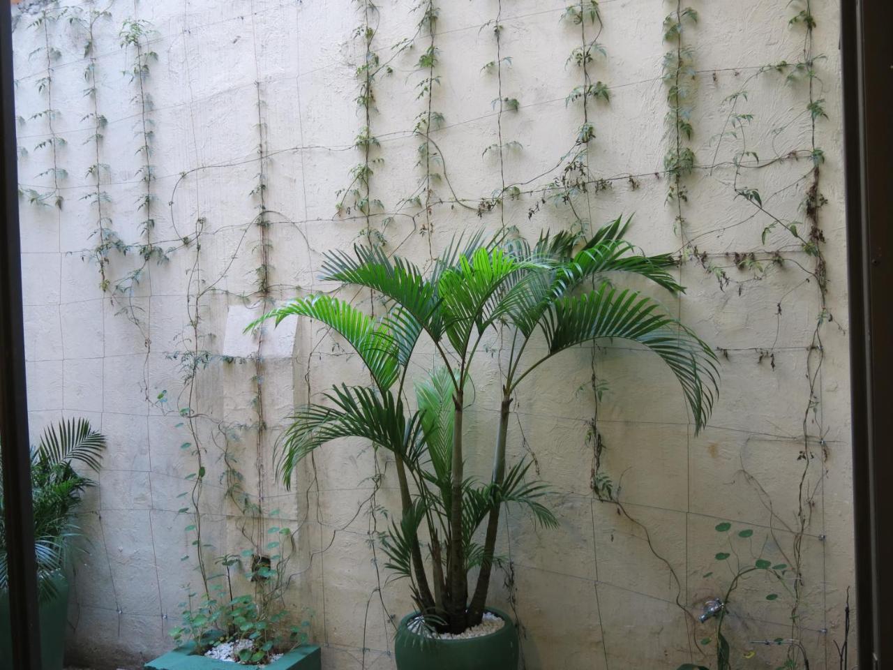 Casa Paulista Homestay *