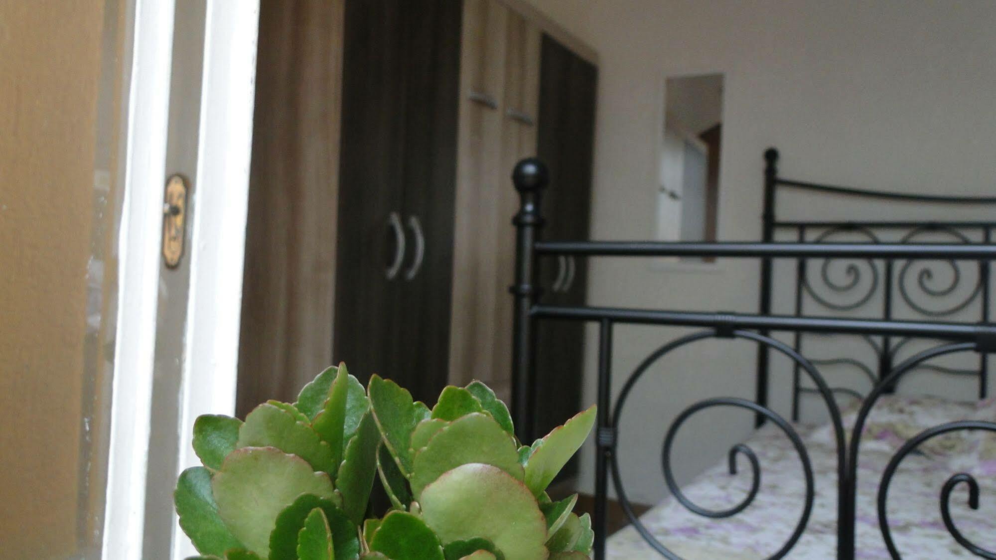 Today Albergue