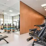 Lindo Loft Pet Friendly Em Pinheiros Sp