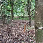 Sitio Encontro Das Aguas Brotas