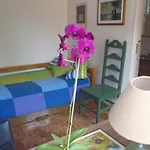 Sunny Interlagos Suite