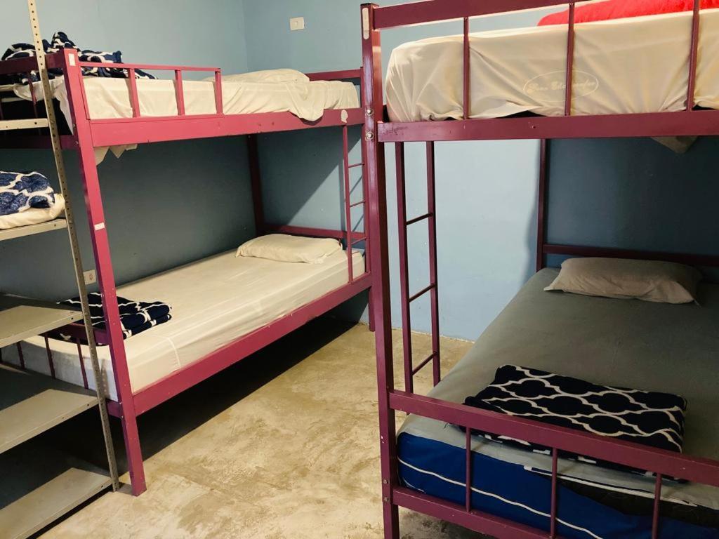Hostel Wanderlust G *