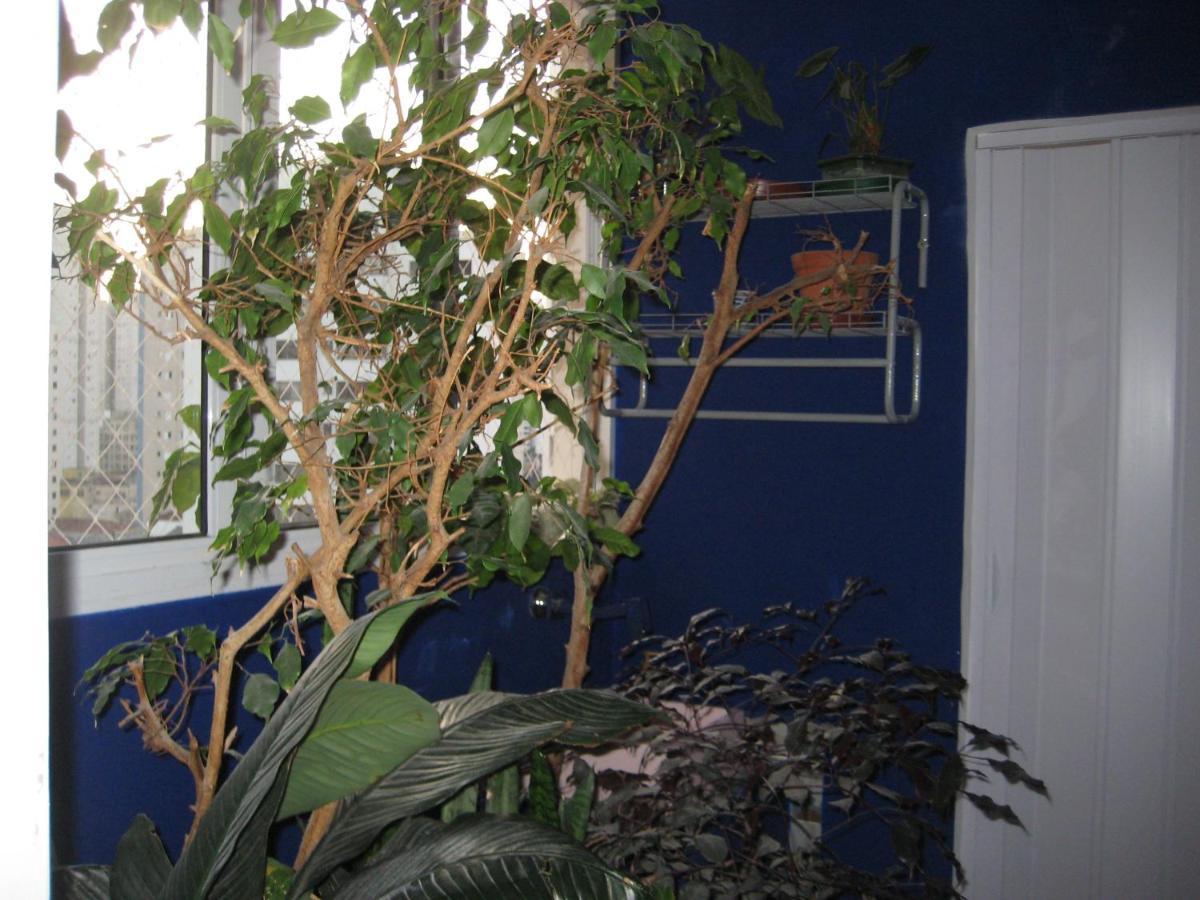 Linda Vista No Alto Da Lapa Homestay *