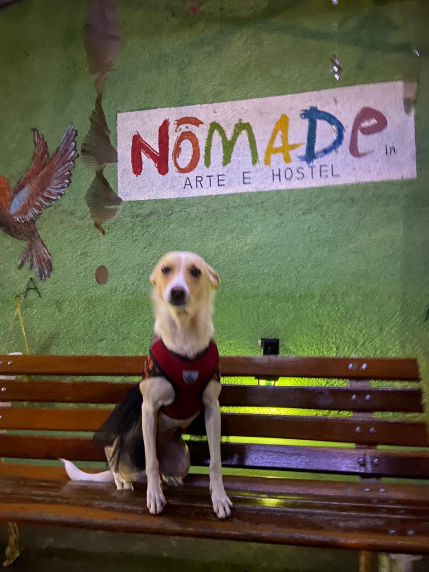Hostel Nomade In Arte E Sao Paulo