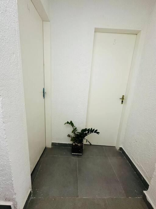 Apartemen Mobiliado E Confortavel Zn - Cod 03 Sao Paulo
