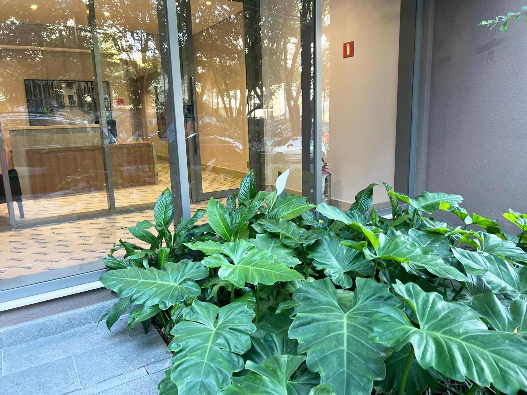Loft Boutique Allianz Parque Apartment