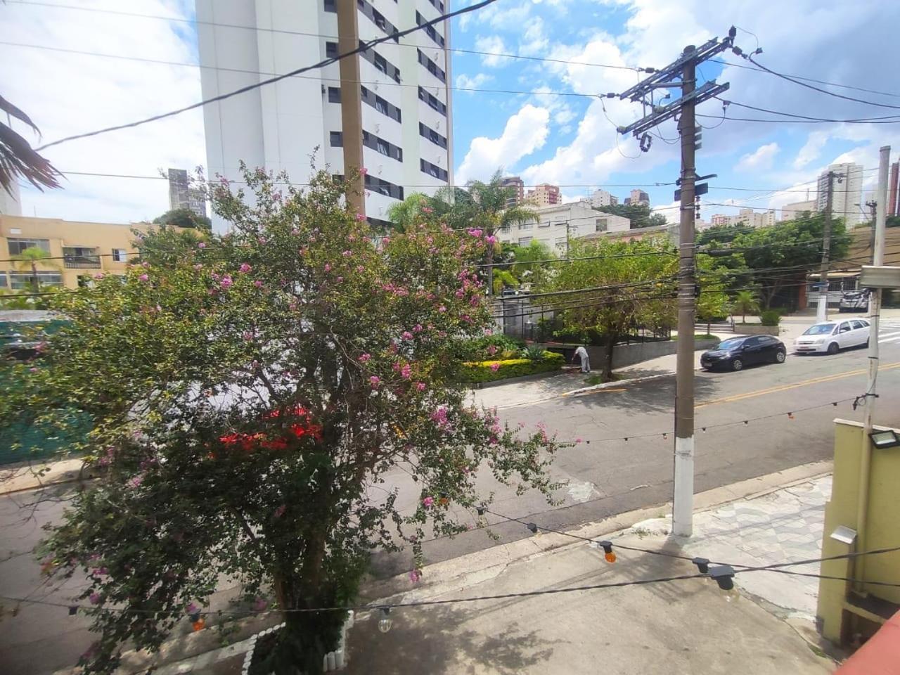 Acca Mariana