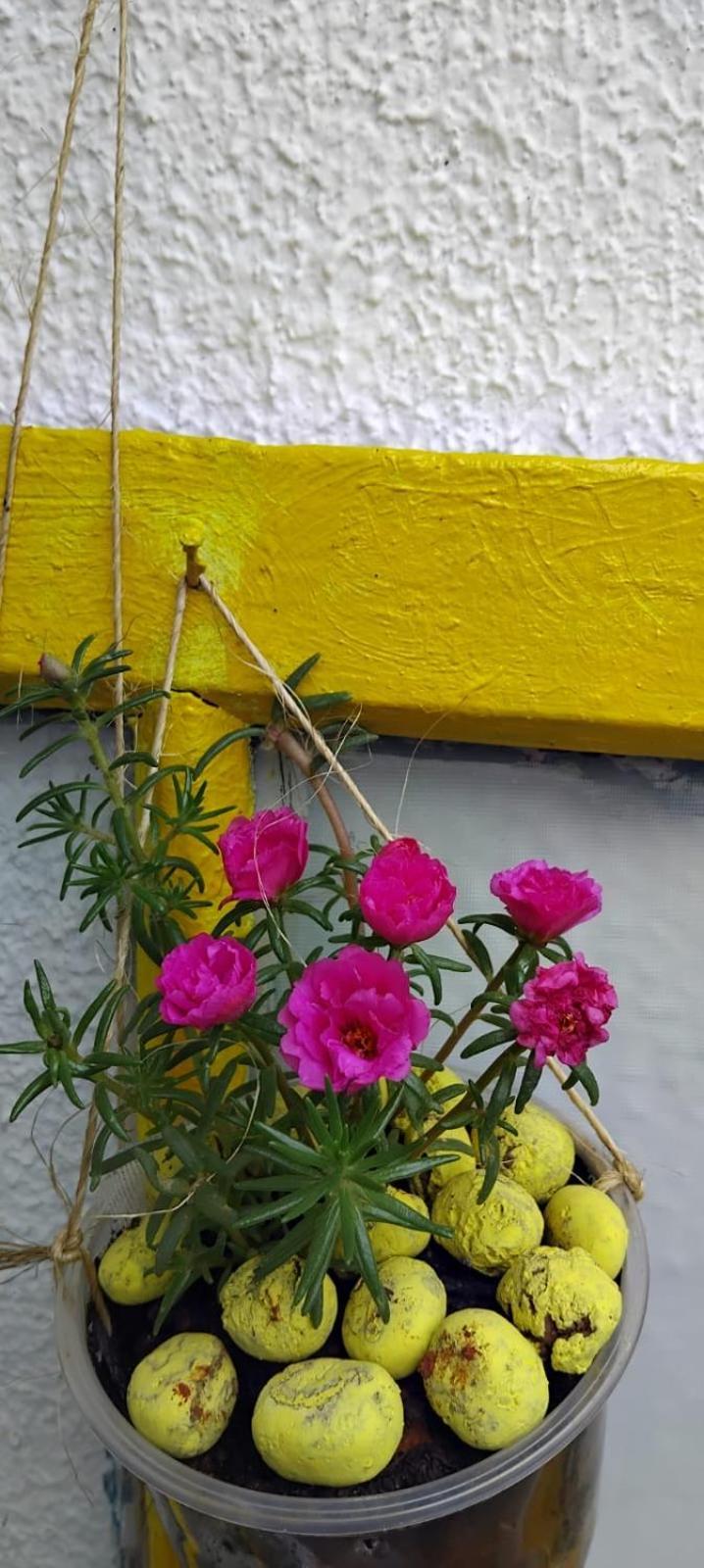 Hostel Aprisco São Paulo