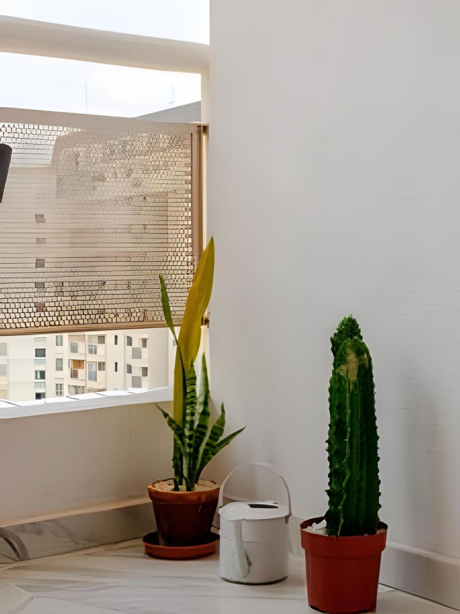 Flat Em Moema - Limpeza Diaria & Estacionamento Apartment *