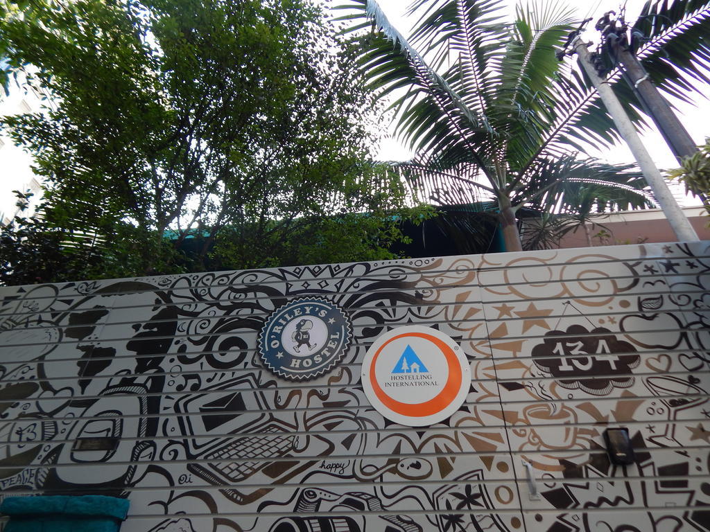 O'Rileys Perdizes Hostel